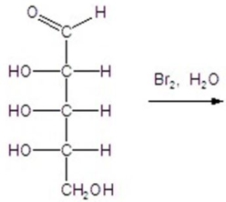 Give the major product(s) for the following reaction.   A) no reaction B)    C)    D)    E)   