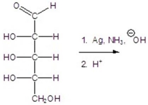 Give the major product(s) for the following reaction.   A) no reaction B)    C)    D)    E)   