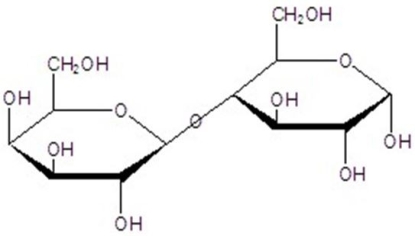 Give the name for the following compound.   A) a-maltose B) b-maltose C) a-cellobiose D) b-cellobiose E) a-lactose