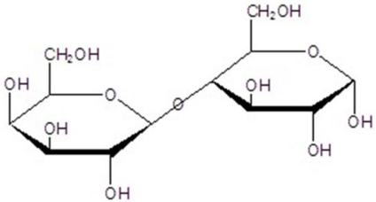 Give the name for the following compound.   A) 4-O-(a-D-glucopyranosyl) -a-D-glucopyranose B) 4-O-(a-D-glucopyranosyl) -b-D-glucopyranose C) 4-O-(b-D-glucopyranosyl) - a-D-glucopyranose D) 4-O-(b-D-glucopyranosyl) - b-D-glucopyranose E) 4-O-(b-D-galactopyranosyl) -a-D-glucopyranose