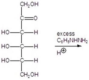 Give the major product(s) for the following reaction.   A)    B)    C)    D)    E)   