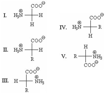 Which of the following is an L-amino acid?   A) I B) II C) III D) IV E) V