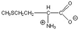 Name the following compound.   A) cysteine B) threonine C) methionine D) serine E) asparagine