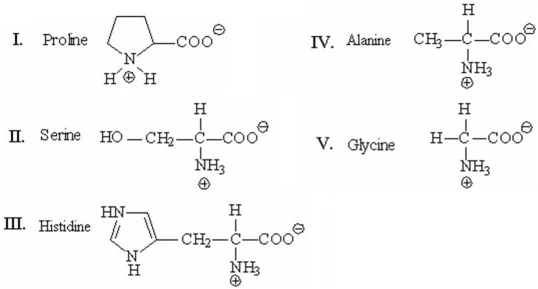Which of the following amino acids has a side chain with an ionizable proton and can exist in four different forms,depending on the pH of the solution?   A) I B) II C) III D) IV E) V