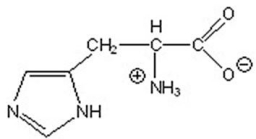 Give the pH at which histidine exists in the following form.   A) 0 B) 4 C) 8 D) 12 E) 14