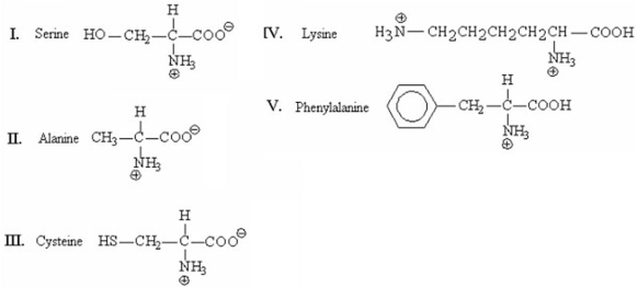 Which of the following amino acids will be retained longest in the column when separated by cation-exchange chromatography?   A) I B) II C) III D) IV E) V