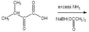 Give the product for the following reaction.   A) alanine B) leucine C) valine D) isoleucine E) glycine