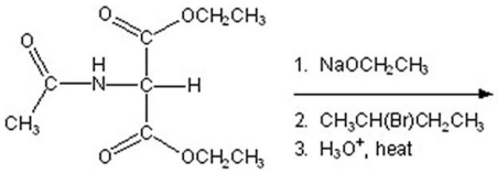 Give the product for the following reaction.   A) alanine B) leucine C) valine D) isoleucine E) glycine