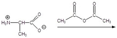 Give the product for the following reaction.   A)    B)    C)    D)    E)   
