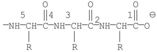 Which of the labeled bonds in the following peptide chain will break when carboxypeptidase A is used to hydrolyze the chain?   A) 1 B) 2 C) 3 D) 4 E) 5