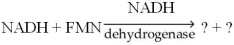 What are the products obtained from the reaction of NADH with FMN catalyzed by NADH dehydrogenase as shown below?   A) NAD<sup>+</sup> + FMNH<sub>2</sub> B) NAD<sup>+</sup> + FMNH C) NAF + DHN D) NAF + DNH<sub>2</sub> E) N<sub>2</sub>A<sub>2</sub>D<sub>2</sub> + FMNH<sub>2</sub>