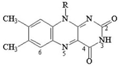 At what position on the following coenzyme (FAD/FMN) will oxidation-reduction reactions take place?   A) 6 B) 2 C) 3 D) 4 E) 5