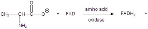 Give the product for the following reaction.   A)    B)    C)    D)    E)   