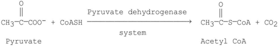 In addition to TPP,which of the following coenzymes is/are required to facilitate the following reaction?   A) lipoate B) coenzyme A C) FAD D) NAD<sup>+</sup> E) all of the above