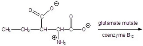 Give the product for the following reaction.   A)    B)    C)    D)    E)   