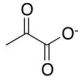 Which molecule does the following structure represent?   A) coenzyme A B) thiamine C) pyruvate D) NADPH E) biotin