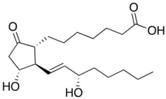 The following molecule represents a   A) phosphoglyceride B) terpene C) squalene D) prostaglandin E) steroid