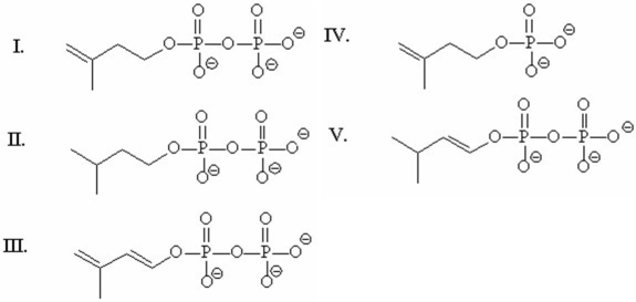 The five-carbon compound used for the biosynthesis of terpenes is called isopentenyl pyrophosphate.Which of the following is the structure of isopentenyl pyrophosphate?   A) I B) II C) III D) IV E) V