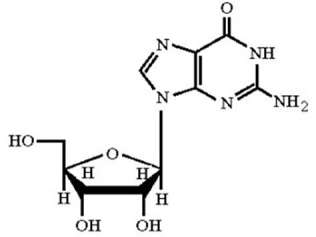 Identify the nucleoside shown below.   A) adenosine B) guanosine C) cytidine D) uridine E) thymidine