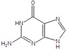 Identify the structure.   A) uracil B) cytosine C) guanine D) thymine E) adenine