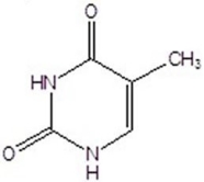 Identify the structure.   A) uracil B) cytosine C) guanine D) thymine E) adenine