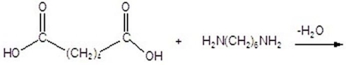 Identify the product of the following reaction.   A) nylon 44 B) nylon 6 C) nylon 4 D) nylon 66 E) nylon 55