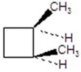 Give the product(s) for the following reaction.You may choose more than one answer.   A)    B)    C)    D)    E)   