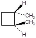 Give the product(s) for the following reaction.You may choose more than one answer.    A)     B)     C)     D)     E)   