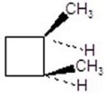 Give the product(s) for the following reaction.You may choose more than one answer.    A)     B)     C)     D)     E)   