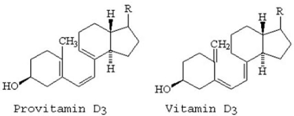 Which of the following best explains the rearrangement when provitamin D<sub>3</sub> rearranges to vitamin D<sub>3</sub>?   A) [1,7] cycloaddition rearrangement,antarafacial B) [1,7] cycloaddition rearrangement,suprafacial C) [1,7] sigmatropic rearrangement,antarafacial D) [1,7] sigmatropic rearrangement,suprafacial E) [1,7] electrocyclic reaction,suprafacial