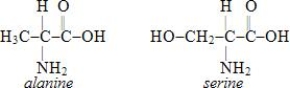 Which of the structures below corresponds to the dipeptide alanylserine?   A)    B)    C)    D)   