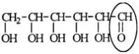 Glucose is an important sugar in a person's metabolic cycle.Identify the functional group circled.   A) Aldehyde B) Ketone C) Alcohol D) Ester E) Carboxylic acid Bloom's