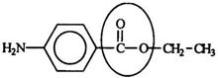 Benzocaine is from a family of chemicals that are good local anesthetics.Identify the functional group circled.   A) Aldehyde B) Ketone C) Ester D) Carboxylic acid E) Carbonyl Bloom's