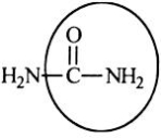 Urea carries waste nitrogen from the body in urine.Identify the functional group circled.   A) Aldehyde B) Alcohol C) Carboxyl D) Amine E) Amide Bloom's