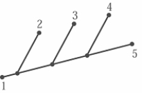 Examine the evolutionary tree pictured below.   In this evolutionary tree, which groups of organisms are likely to share the most behaviors? A)  5 and 4 B)  5 and 3 C)  5 and 2 D)  5 and 1