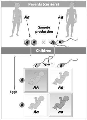 This figure shows a pattern of inheritance.   The disorder shown in the figure A)  is autosomal. B)  is sex-linked. C)  displays incomplete dominance. D)  results from the linkage of A and