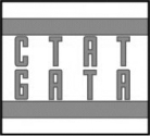 The figure below shows a short sequence of DNA.   During DNA replication, the piece of DNA depicted above will produce A)  one single-stranded molecule with the sequence CTAT. B)  two single-stranded molecules with the sequence GATA C)  one single-stranded molecule with the sequence CTAT and a separate single-stranded molecule with the sequence GATA. D)  two double-stranded molecules that look just like the image above.