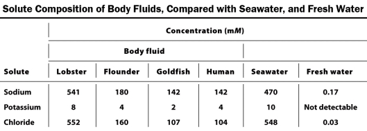Examine the table below.   Based on the data in this table, which organism is most likely to be an osmoconformer? Note that lobsters and flounders live in salt water and goldfish live in freshwater. A)  lobster B)  flounder C)  goldfish D)  humans