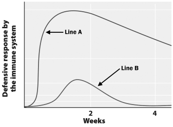 This graph depicts the immune response following a vaccine and a booster shot.     The line labeled with the letter _____ represents the response after the initial vaccine.
