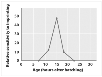 Examine the graph below.   According to this graph, a gosling is most likely to ________ about 15 hours after hatching. A)  develop a sense of who its parent is B)  learn new a mating call C)  react to a releaser D)  exhibit the grasp reflex