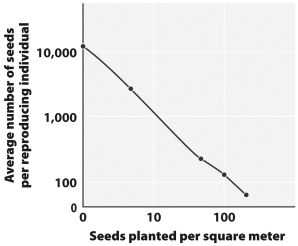 Examine the graph below.   What statement best describes the relationship between planting density and seed production per individual plant? A)  At high planting densities, both seed production per plant and total seeds produced declines. B)  At high planting densities, seed production per plant declines while total seeds produced remains constant. C)  At low planting densities, both seed production per plant and total seeds produced increases. D)  At high planting densities, seed production per plant declines while total seeds produced increases.