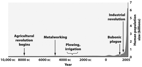 The figure below shows that the human population was small and relatively stable for nearly 12,000 years, but has increased dramatically in the past 200 years.   How might this increase in population growth be explained? A)  Disease prevented any significant growth of the human population. B)  For most of human history people were too malnourished to have children. C)  People simply chose to have fewer children in the past than at present. D)  Prior human populations were at existing carrying capacities but newly developed technologies have raised the carrying capacity and permitted the recent expansion.