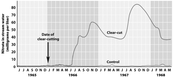 In the Hubbard Brook Experimental Forest in New Hampshire, a portion of the forest was first clear-cut, then sprayed with herbicides for 3 years to prevent growth. A second portion of the forest was not clear-cut or sprayed and served as a control plot. The graph below shows that nitrate, a form of nitrogen that is important to plants, was lost from the ecosystem in streams at a much higher rate in the clear-cut portion of the forest than in the control portion.   What best explains the small releases of nitrogen from the control portion of the forest at the Hubbarb Brook Experimental Forest? A)  Its nitrogen was sequestered in the forest biomass and temporarily unavailable. B)  With intact vegetation to intercept the acid rain that falls in the area it failed to reach the soil and chemically react to release the nitrogen. C)  With intact vegetation, rainwater washed little soil and nitrogen from the forest floor. D)  All of the above contributed to the small amount of nitrogen loss.
