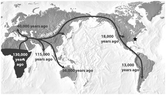 In the figure below, the arrows on the map indicate a hypothesis regarding the movement of modern human populations throughout the world.   In 2004, a set of human tools dated to 50,000 years old was found at the location of the star on the map (the Southeast United States) . If the age of these tools is correct, which of the following is true? A)  This discovery disproves the out-of-Africa hypothesis. B)  This discovery confirms the multiregional hypothesis. C)  This discovery suggests that modern humans evolved in North America rather than Africa. D)  This discovery suggests that the human colonization occurred at a much faster rate than previously hypothesized by scientists.