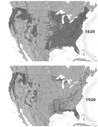 The figure below documents the loss of old-growth forests in the United States over a 300-year period.   What best explains why the forests of the Pacific Northwest were relatively unaffected during that time period? A)  Legislation to protect endangered species like the spotted owl limited timber harvesting in the region. B)  The old-growth Douglass fir found in the region is unsuitable for most applications and the trees were simply ignored. C)  The U.S. population had not expanded significantly before 1920 and the timber of the eastern United States easily meet the needs of a smaller population. D)  Three hundred years is sufficient time to reestablish an old-growth forest, harvesting in the Pacific Northwest has simply been done sustainably.