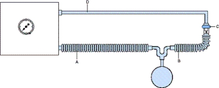 In the image,what does  B  represent?   A)  Expiratory valve line B)  Exhalation valve C)  Expiratory line D)  Main inspiratory line