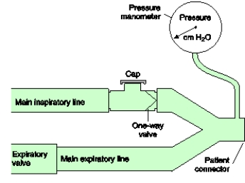 <strong>A patient with a size 8 ET tube has a spontaneous minute ventilation of 20 L/min.Use the figure below to find the imposed WOB through the ET tube. </strong> A) 5 J/min B) 18 J/min C) 22 J/min D) 40 J/min