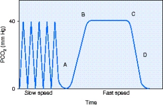 The partial pressure of end-tidal carbon dioxide (PₑₜCO₂) reading is taken at what point in the figure?   A)  Point A B)  Point B C)  Point C D)  Point D