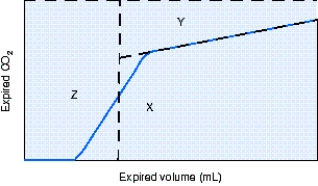 The area represented by the letter  Y  in the figure is which of the following?   A)  End-tidal carbon dioxide (EtCO₂)  B)  Alveolar ventilation C)  Alveolar dead space D)  Airway dead space