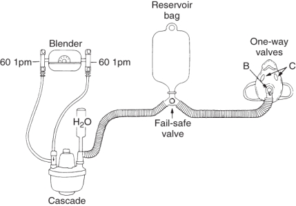 What type of oxygen-delivery device does the following image illustrate?   A)  Simple mask B)  Nonrebreathing mask C)  Air-entrainment mask D)  Aerosol mask